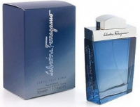 Salvatore Ferragamo Subtil Pour Homme