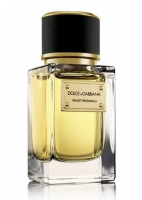 Dolce & Gabbana Velvet Patchouli
