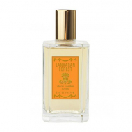 MAria Candida Gentile Lankaran Forest