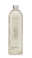 Eva Professional Capilo Technikum Shampoo #01 500 мл