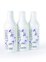 Punti di Vista Concerto Шампунь відновлюючий з кератином