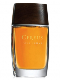 Cereus No. 14
