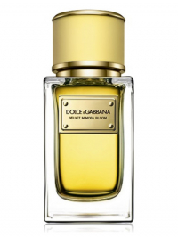 Dolce & Gabbana Velvet Mimosa Bloom