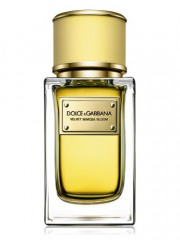 Dolce & Gabbana Velvet Mimosa Bloom