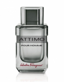 Ferragamo Attimo Pour Homme