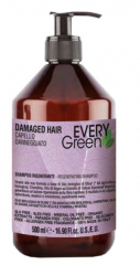 Every green Відновлення волос Шампунь з пшеницею, Олієм Аргану і стовбуровими клітинами бузку Damager Shampoo Rigenerante
