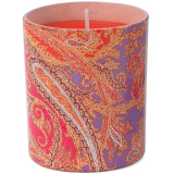 Etro Rajasthan Candle Свічка парфумована Роджестан Свічка 160г 8026247601222