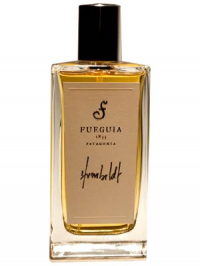 Fueguia 1833 Humboldt