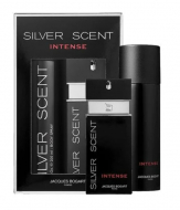 Bogart Silver Scent set (туалетна вода 100 ml + 200 ml deo Spray)