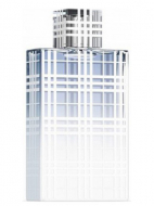 Burberry Burberry Brit Summer for Men 2012 туалетна вода 100 мл