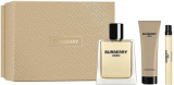 Burberry Hero set (туалетна вода 100 ml + 10 ml mini + 75 ml гель для душу)