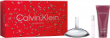 Calvin Klein Euphoria set (парфумована вода 100 ml Spray + 200 ml лосьйон для тіла + парфумована вода 10 ml Spray)