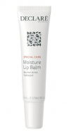 Declare Зволожуючий бальзам для губ Moisture Lip Balm 15мл