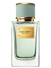 Dolce & Gabbana Velvet Infusion парфумована вода 100 мл
