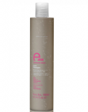 Eva Professional E-line Grey Shampoo 300 мл Шампунь для сивого волосся