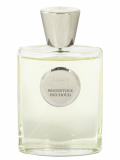 Парфумерія Giardino Benessere Woodstock Patchouli парфумована вода 100 мл