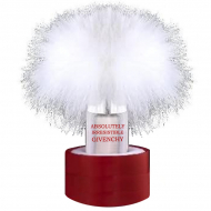 Givenchy AbsoluteLY IRRESISTIBLE PUFF & Powder 10 g (Givenchy Absolutely irresistible 10g shimmering Perfumed Powder 3274870354120