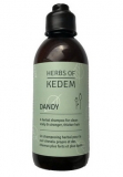Kedem Dandy Денди натуральний Шампунь з рослин Юдейської пустелі для зміцнення, живлення та Відновлення слабкого та пошкодженого волосся 250мл