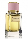 Dolce & Gabbana Velvet love