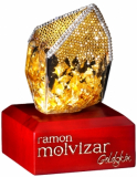 Ramon Molvizar GoldSkin