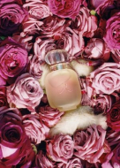 Парфумерія Les Parfums de Rosine Une Folie De Rose
