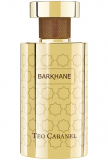 Teo Cabanel BarKhane