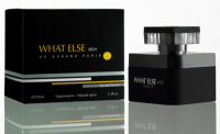 A.P. Durand Parfums WHAT ELSE For Men