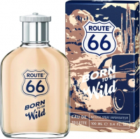 Route 66 Born To Be Wild туалетна вода 100 мл