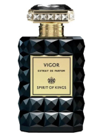 Spirit Of Kings Vigor 100 ML