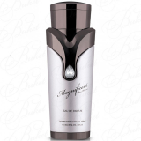 Armaf Magnificent Pour Homme парфумована вода для чоловіків