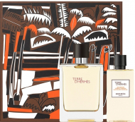 Hermes Terre D Hermes set (туалетна вода 100 мл + гель для душу 80 ml)