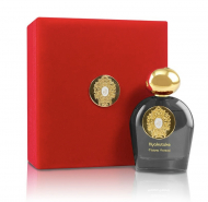 Tiziana Terenzi Hyakutake Extrait De Parfum 100 мл